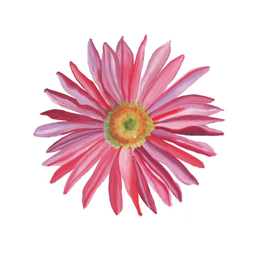 Pink Daisy by Brittany Bert Selfe Pink Daisy by Brittany Bert Selfe