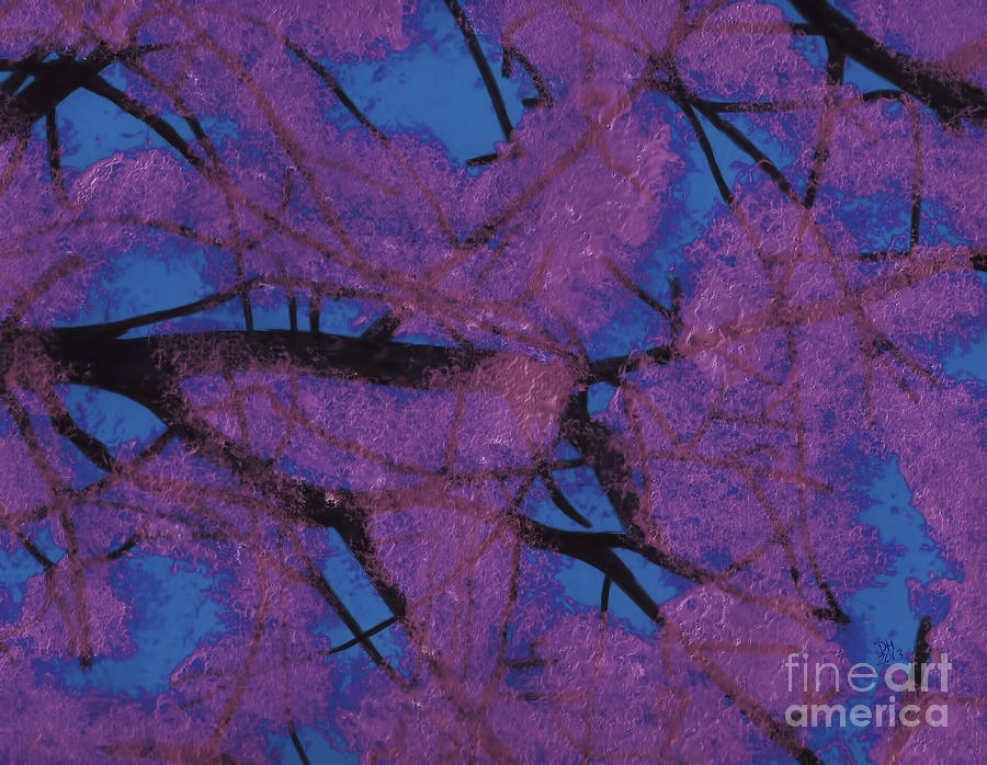 Pink Filled Sky by D Hackett Pink Filled Sky by D Hackett