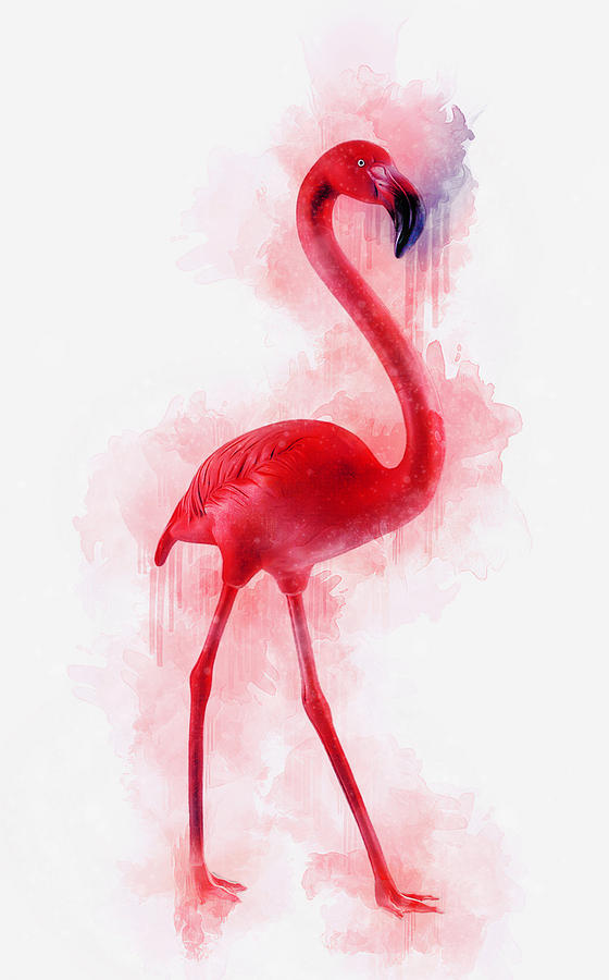 Pink Flamingo Painting by Ian Mitchell