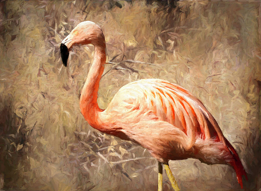 Pink Flamingo Painted Photograph by Judy Vincent