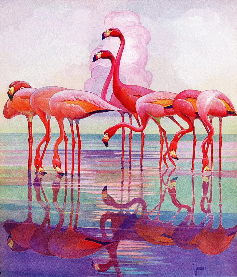 Pink Flamingos Drawing by Francis Lee Jaques Pixels