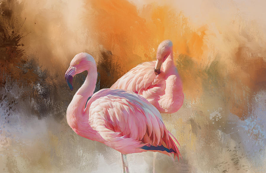 Pink Flamingos Digital Art by Terry Davis