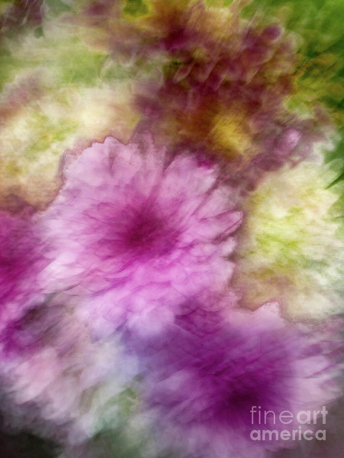 Pink flower abstract Photograph by Phillip Rubino