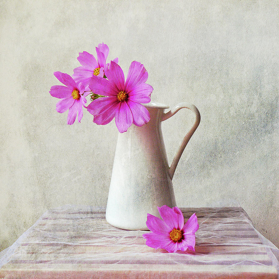 Pink Flower In Mug, Italy Photograph by By Margoluc