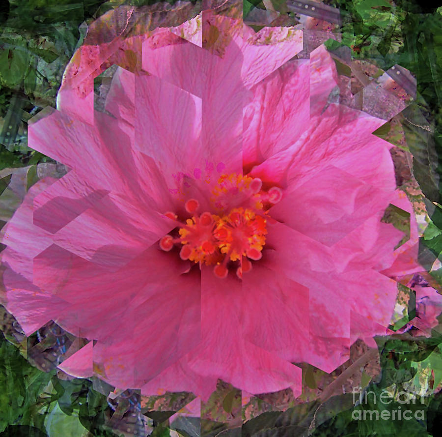 Pink Flower Kaleidoscope Digital Art by D Hackett