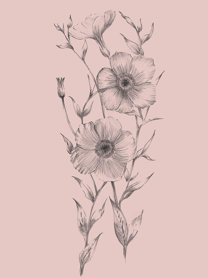 Pink flowers drawing with leaves design Royalty Free Vector