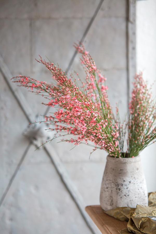 Pink-flowering Branches In Grey Vase Photograph by Syl Loves