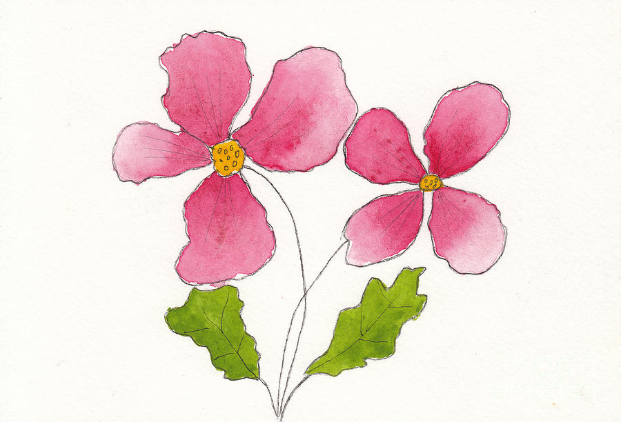 Pink Flowers Sketch Drawing by Conni Schaftenaar