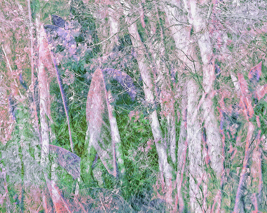Pink Forest Digital Art