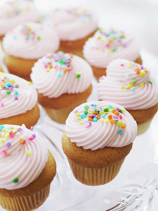 Pink Frosted Cupcakes Photograph by Alexandra Grablewski
