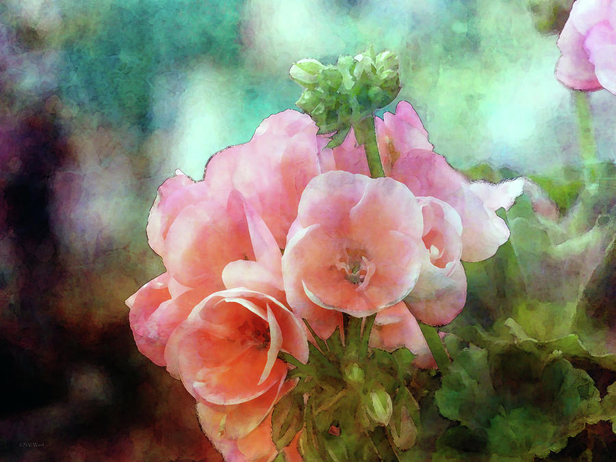 Impressionism Photograph - Pink Geranium 6424 IDP_2 by Steven Ward