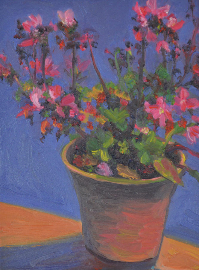 Pink Geranium Painting by Beth Riso