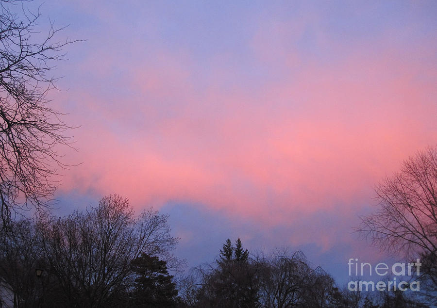 Pink Glowing Evening Sky 2 Photograph by Deborah A Andreas