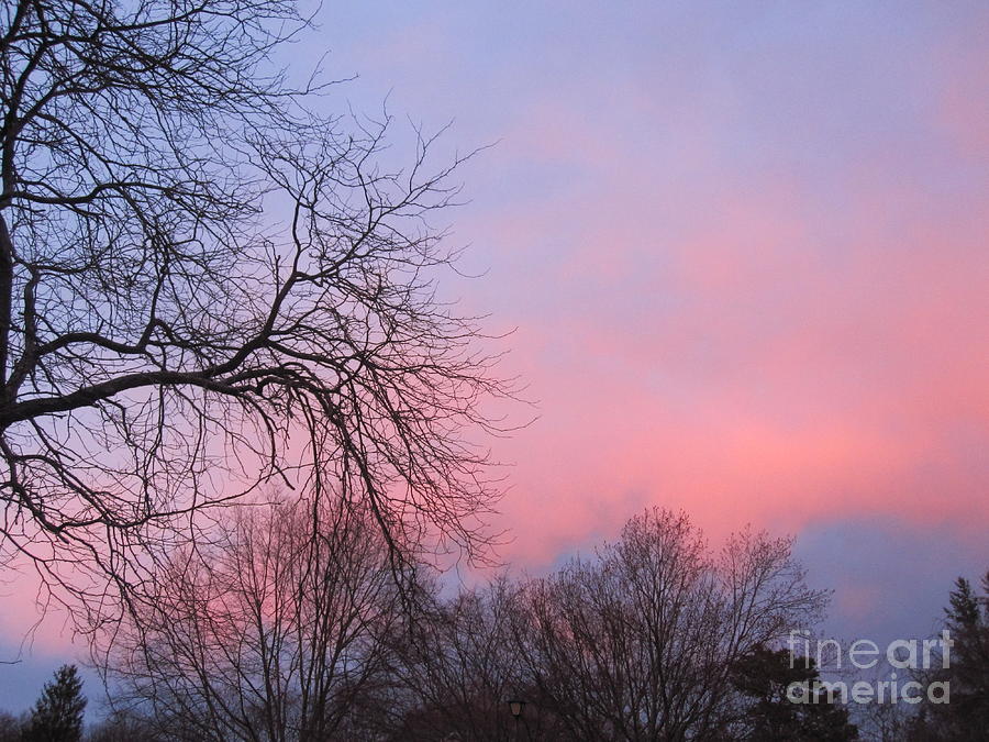 Pink Glowing Evening Sky 3 Photograph by Deborah A Andreas
