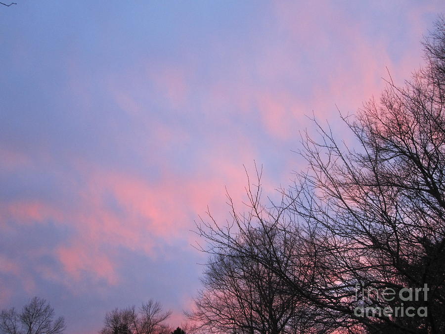 Pink Glowing Evening Sky 6 Photograph by Deborah A Andreas
