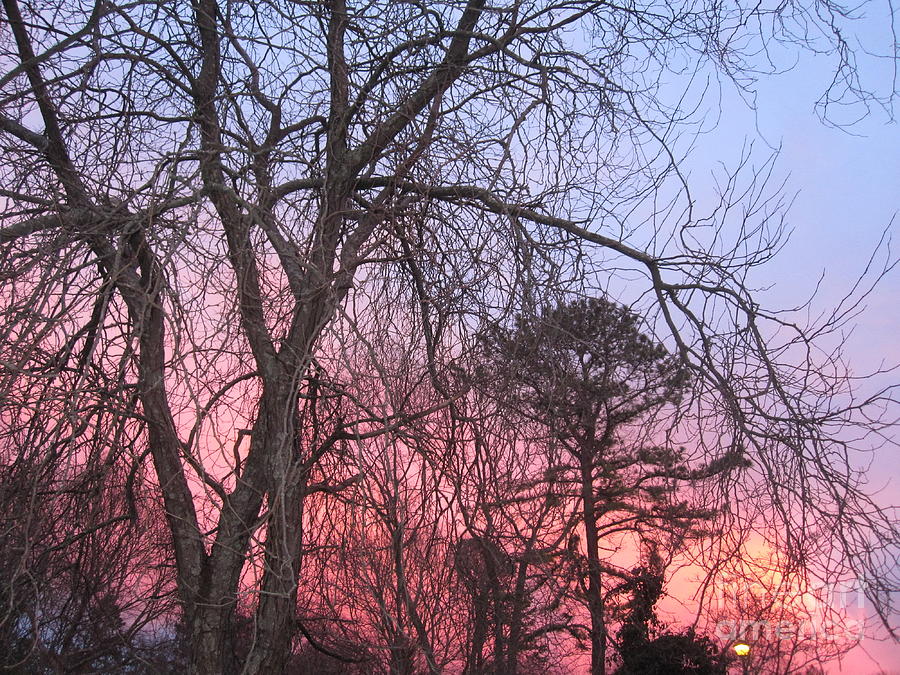 Pink Glowing Evening Sky 7 Photograph by Deborah A Andreas