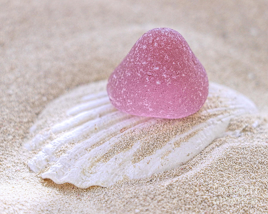Pink gumdrop sea glass Photograph by Janice Drew