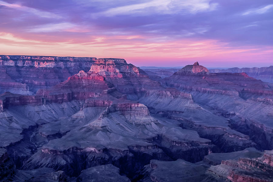 Pink Hues over the Grand Canyon Photograph by Dawn Richards