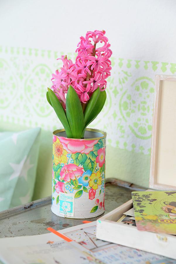 Pink Hyacinth In Tin Decorated With Floral Pattern In Shabby-chic Ambiance With Pastel Green Frieze On Wall Photograph by Revier 51