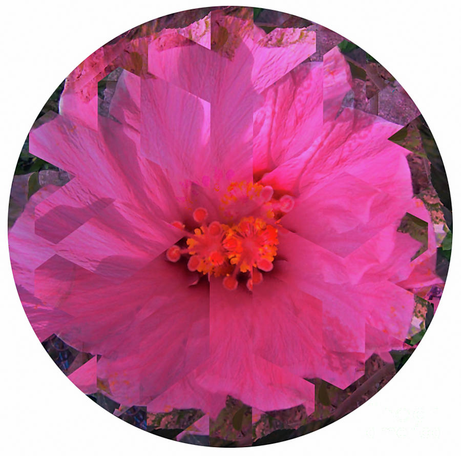 Pink Kaleidoscope Digital Art by D Hackett