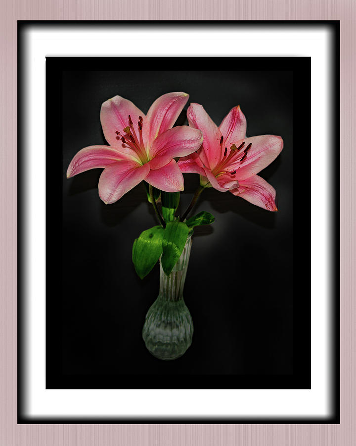 Pink Lillies by Richard Risely Pink Lillies by Richard Risely