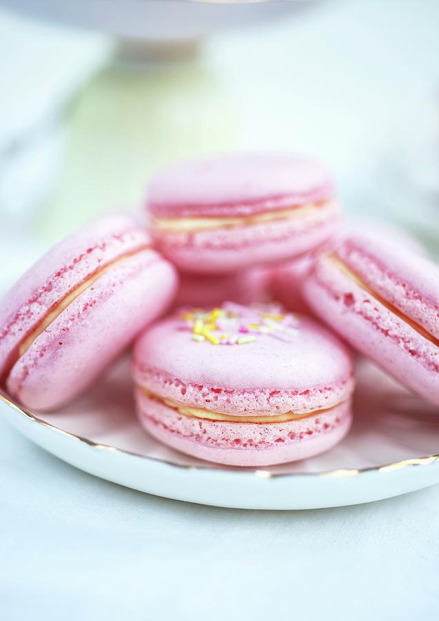 Pink Macaroons Filled With Raspberry Jam And Clotted Cream close-up Photograph by Lucy Parissi