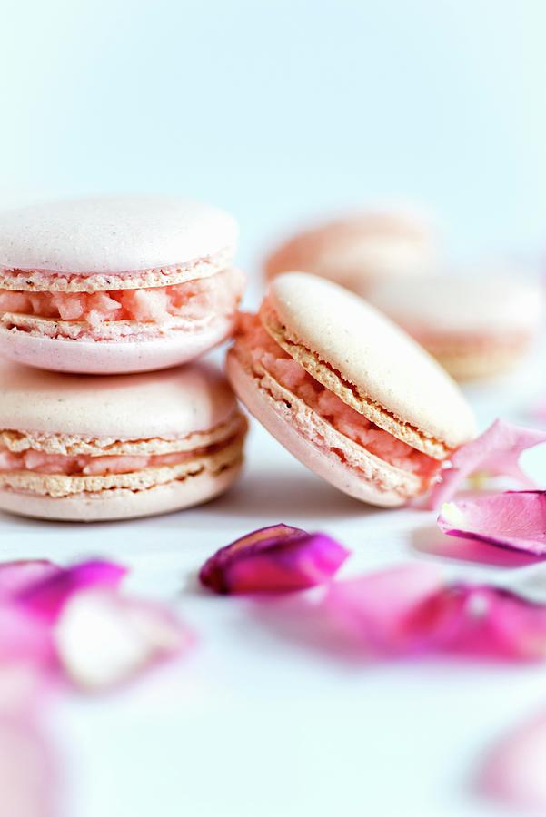 Pink Macaroons With Buttercream Filling Photograph by Lucy Parissi