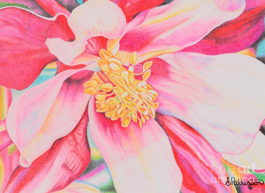 Magnolia Movie Drawing - Pink Magnolia by Sharon Patterson
