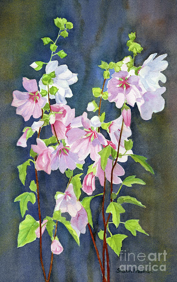 Pink Hollyhock Painting - Pink Hollyhock Flowers with Dark Background by Sharon Freeman