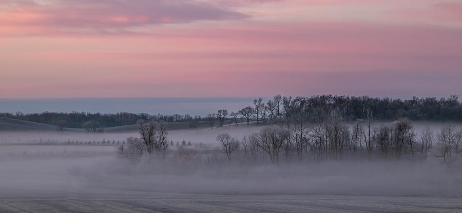 Pink Misty Morning #3 - Misty Field Photograph by Patti Deters