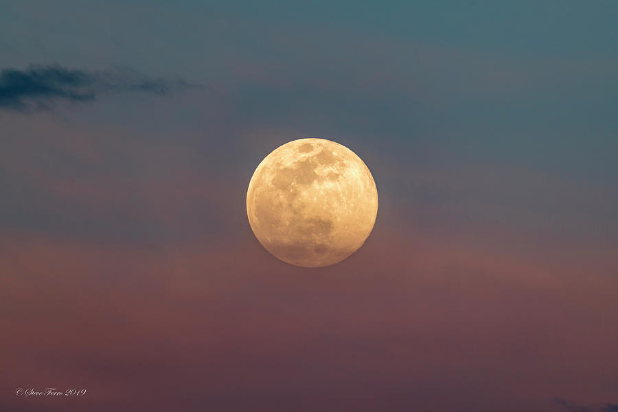 Pink Moon Photograph by Steve Ferro