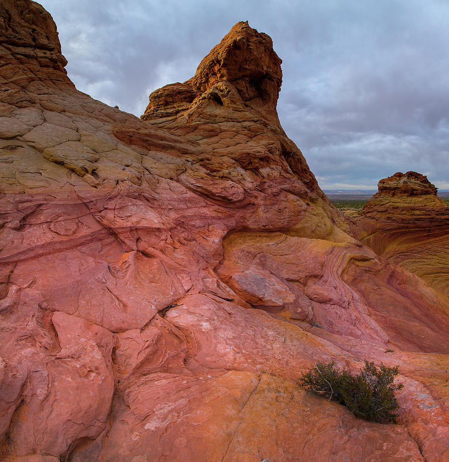 Pink Mountain 1 Of 3 Photograph by Moises Levy - Fine Art America