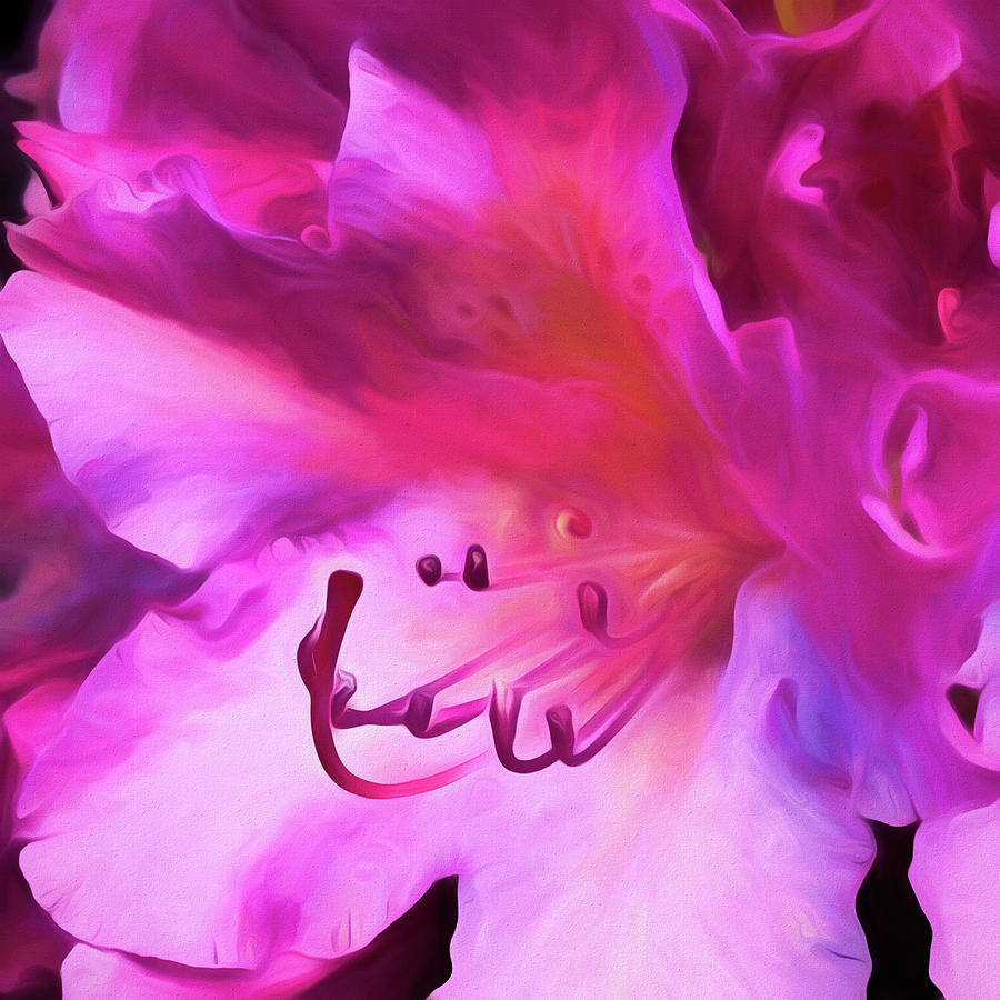 Pink Okeefe Digital Art by Cindy Greenstein