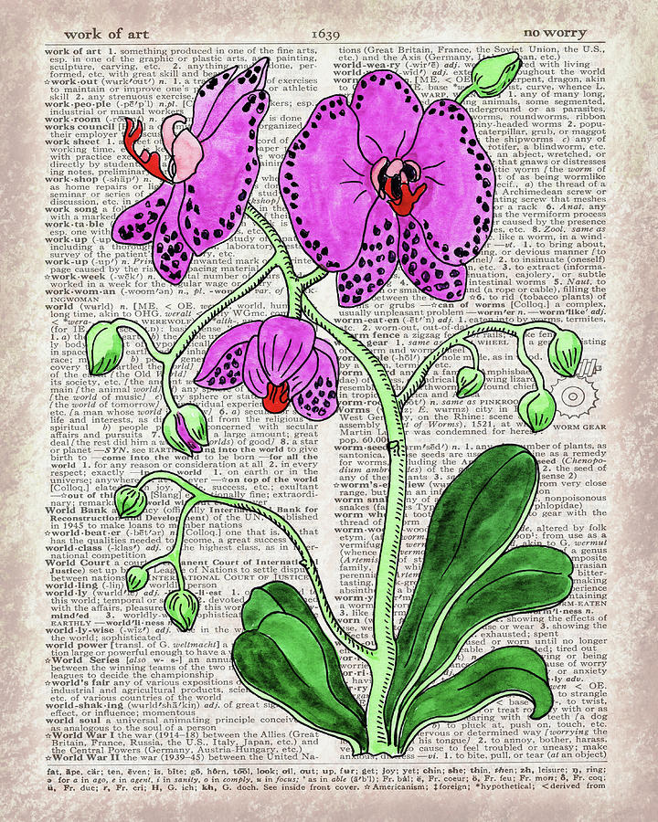 Pink Orchid Dictionary Page Watercolor Art Painting by Irina Sztukowski