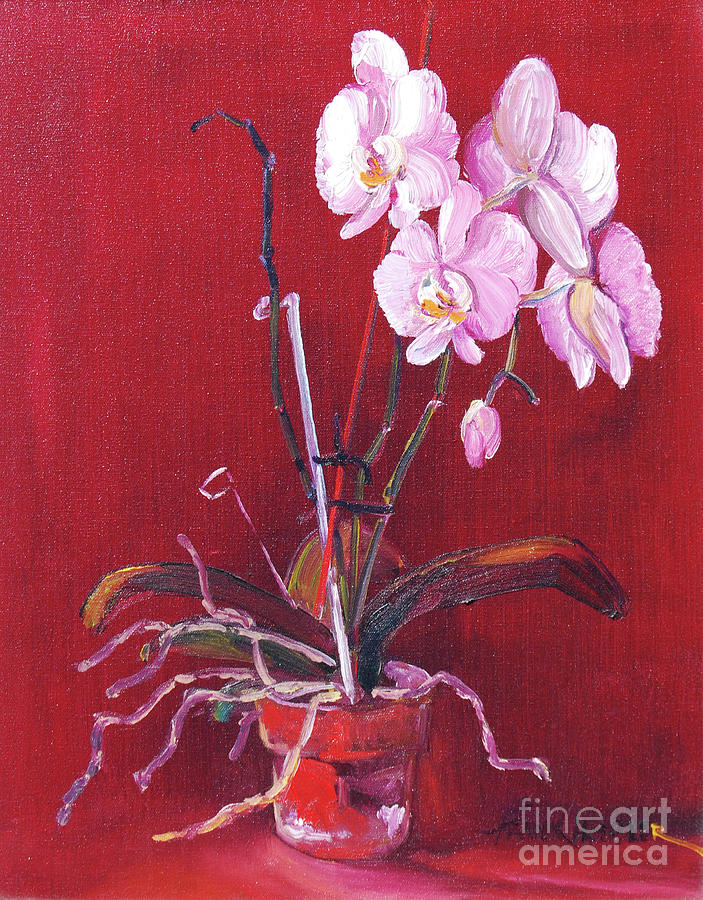 Pink Orchid Painting by Frank Hoeffler