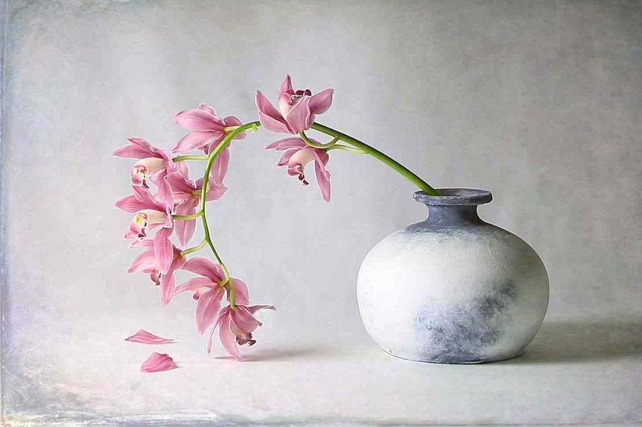 Orchid Photograph - Pink Orchid In Vase by Fangping Zhou