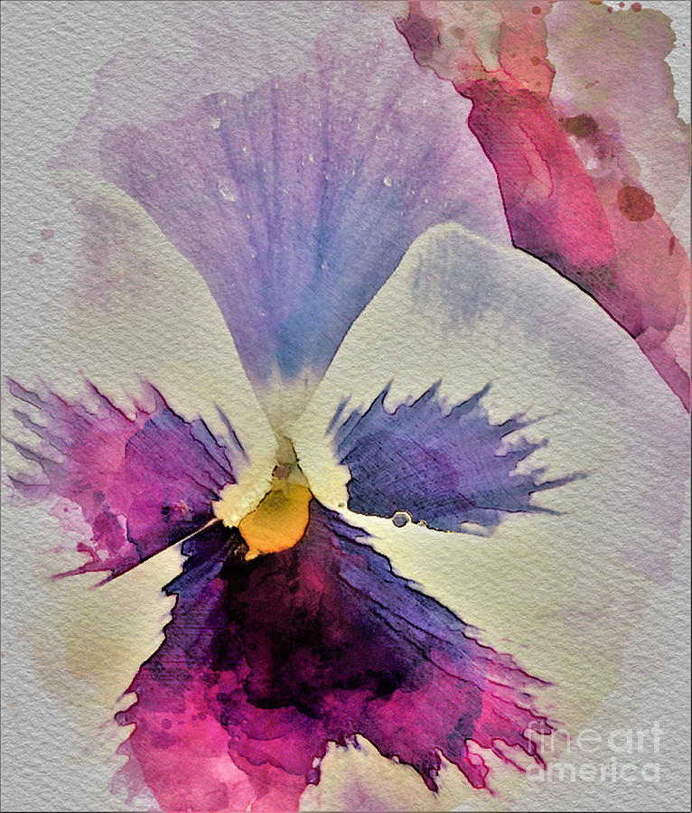 Pink Pansy Painting by Tracey Lee Cassin