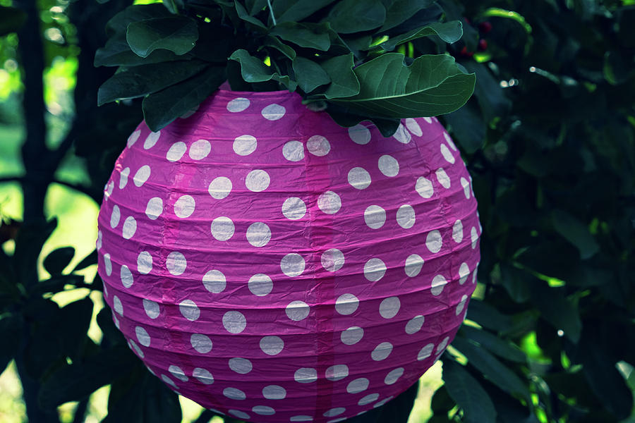 Ball Photograph - Pink Paper Polka Dot Ball by Laura Smith
