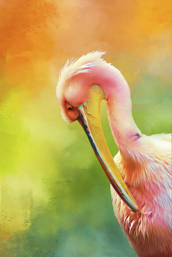 Pink Pelican Painted Digital Art by Terry Davis