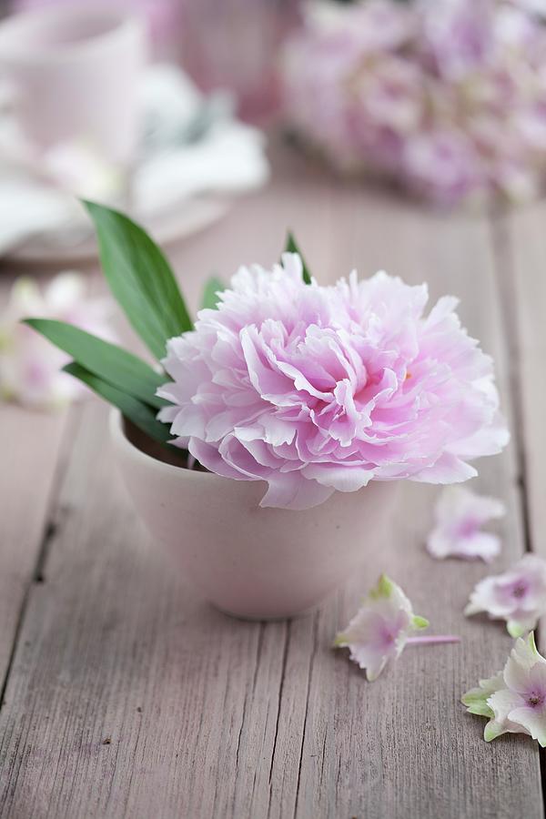 Pink Peony And Leaves In White Bowl Photograph by Martina Schindler