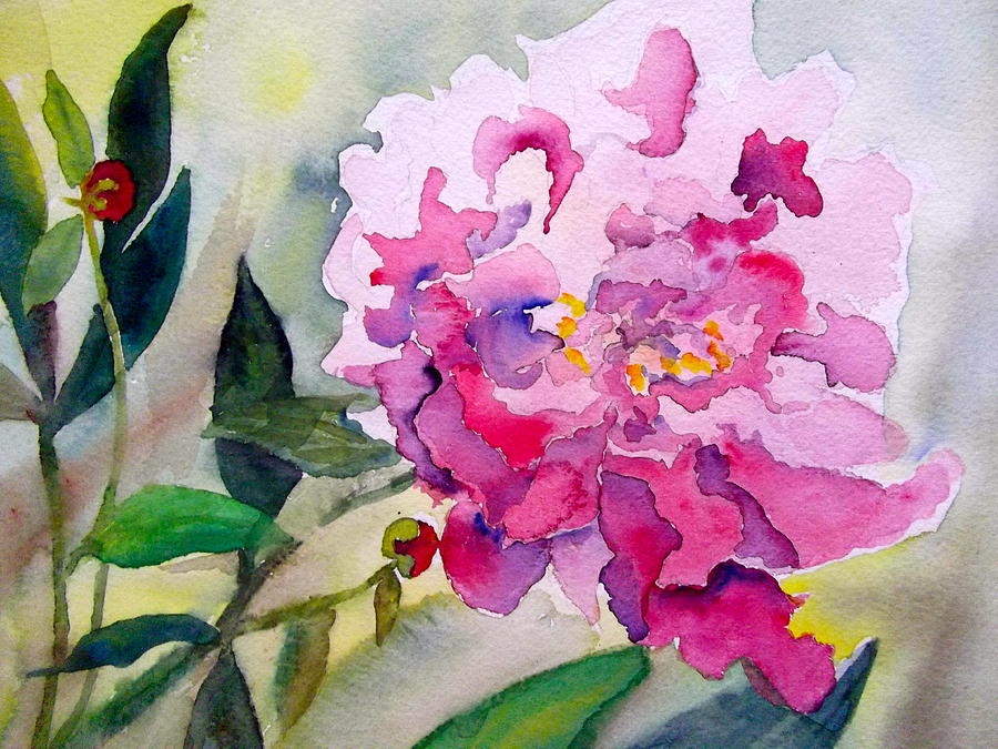 Pink Peony Painting by Mary Gorman