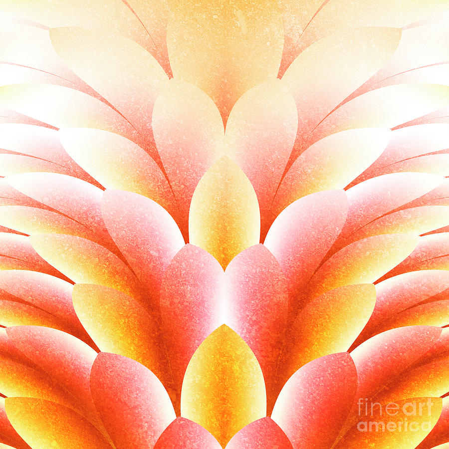 Pink Petals by Mariella Wassing Pink Petals by Mariella Wassing