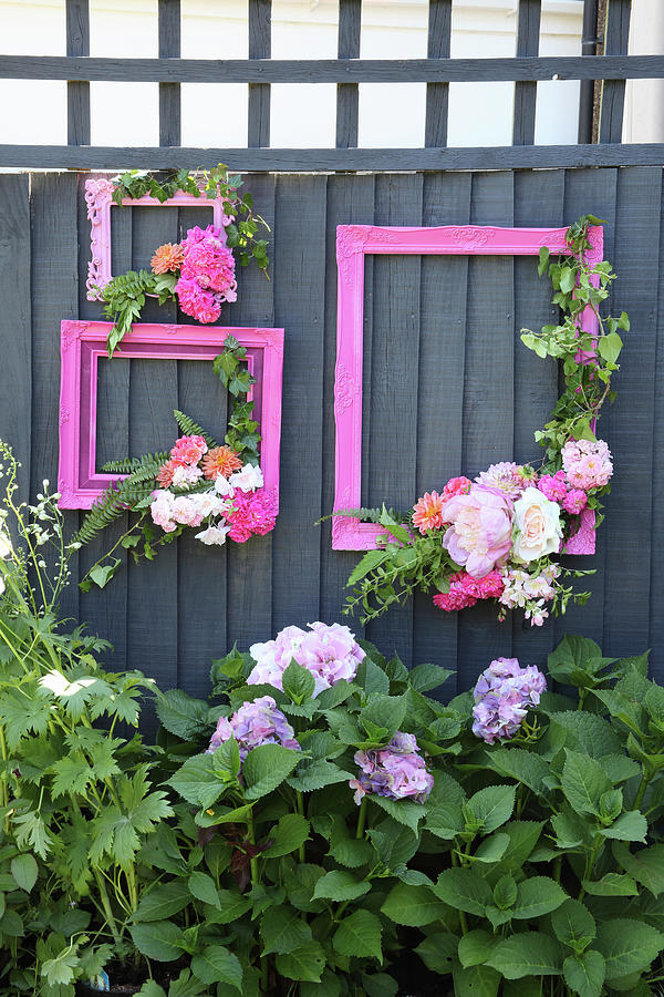 Pink Picture Frames Decorated With Flowers On Wooden Fence In Garden Photograph by Simon Scarboro