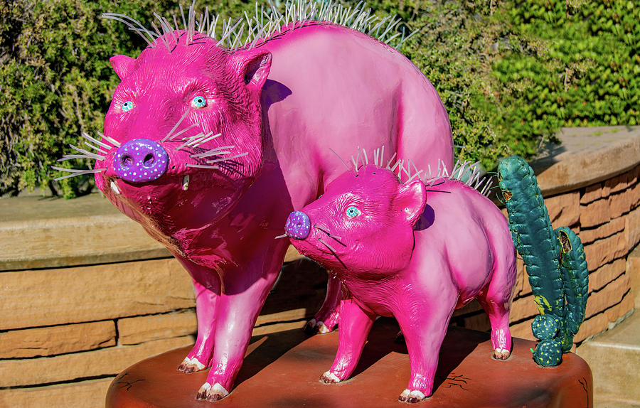 Pink Pigs Of Sedona Photograph