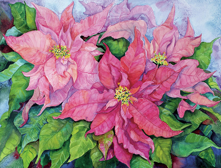 Pink Poinsettias Painting - Pink Poinsettia by Joanne Porter