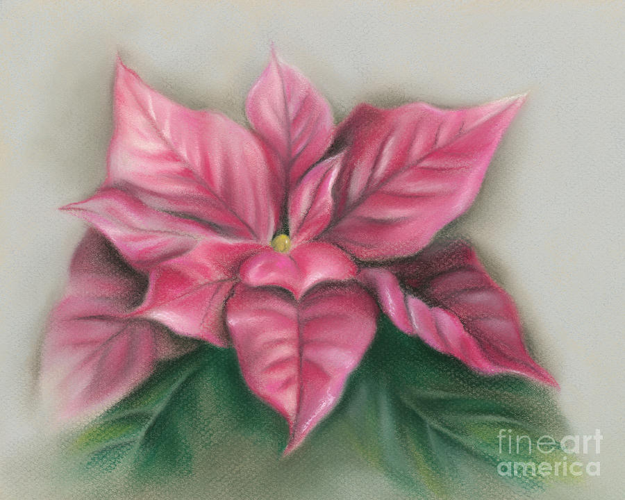 Pink Poinsettia Painting by MM Anderson