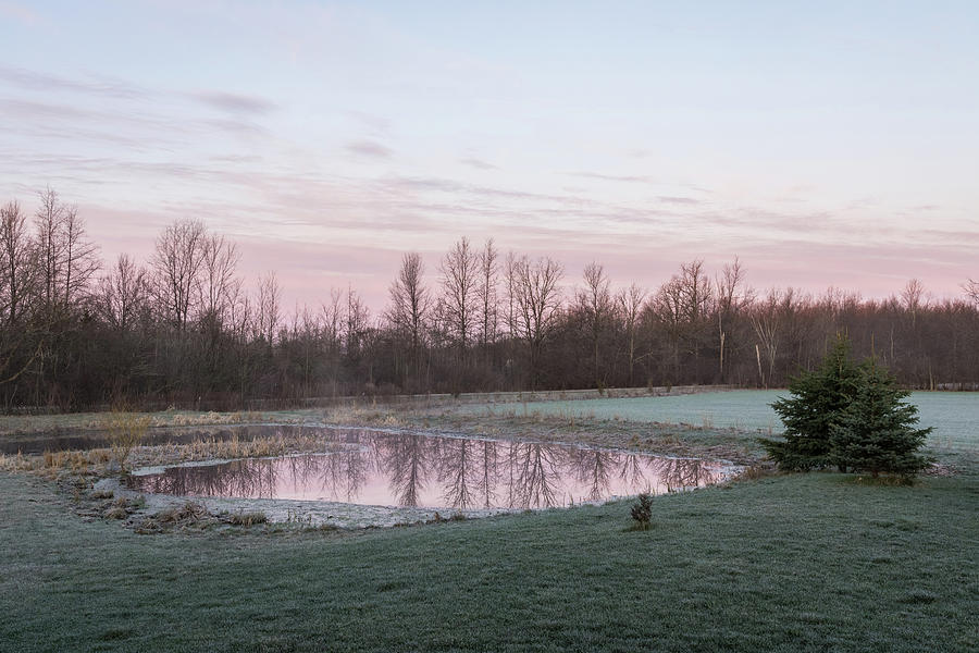 Pink Pond - A Peaceful Daybreak On The Farm Photograph by Georgia Mizuleva