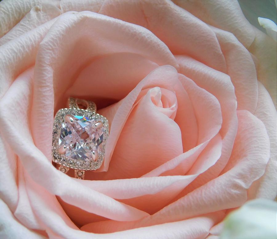 - Pink Rose and Diamond Photograph by THERESA Nye