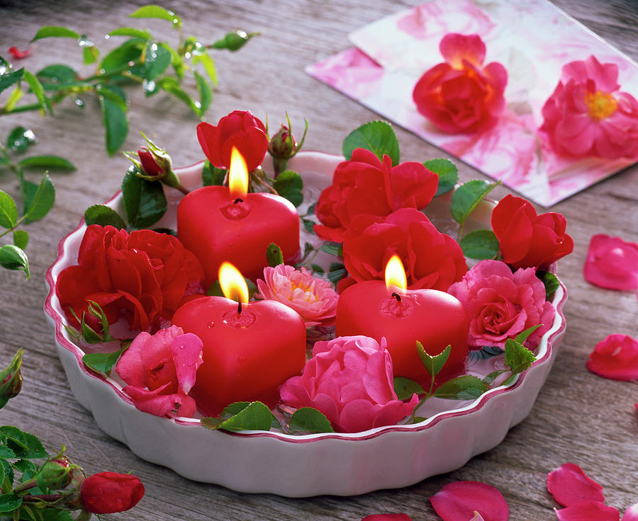 Pink rose And Heart-shaped Candles In Flat Cake Pan Photograph by Friedrich Strauss