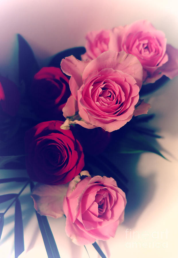  Pink Rose Bouquet 2 Photograph by Tara Shalton